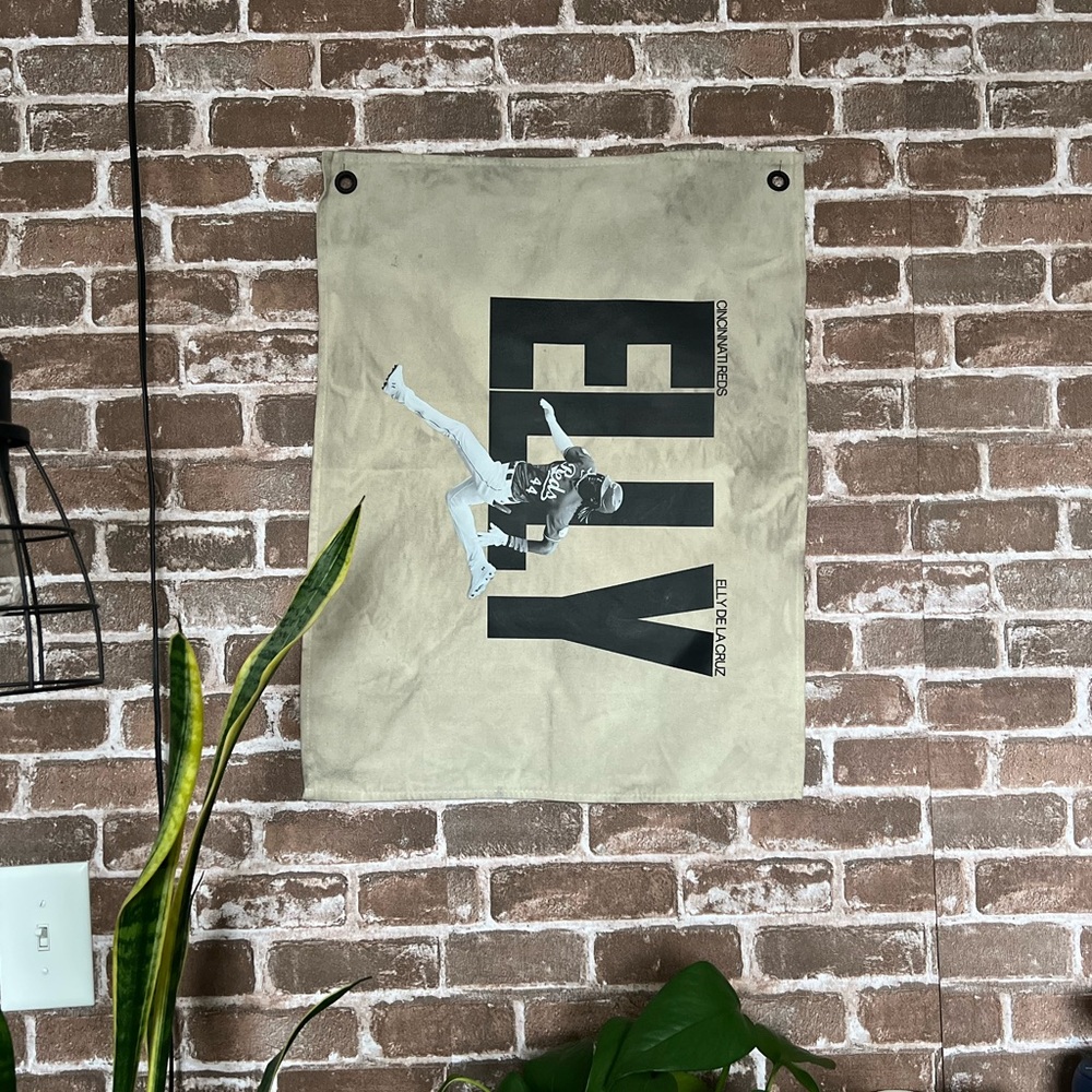 Distressed Elly De La Cruz Canvas Banner